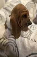 processed/a4796fd4-a965-4e13-bcaf-56f12814d465/listing/16005c3d-2bdb-49e5-b1be-7804457b2998/e7f37746-ed22-47c4-ad21-7aeedb4184d7