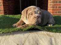 processed/a4861307-165b-44f1-b339-22421919323a/listing/878f5bb6-70bf-4271-afdd-7ca93fd8bbf1/25ff4255-d71b-4503-9edb-8bc2e034cd4d