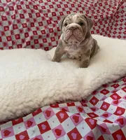 processed/a4861307-165b-44f1-b339-22421919323a/listing/878f5bb6-70bf-4271-afdd-7ca93fd8bbf1/27a000a9-5344-480d-a942-40bd619c9ae6