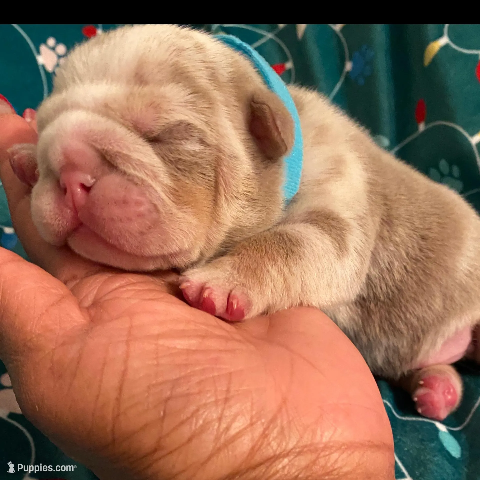 processed/a4861307-165b-44f1-b339-22421919323a/listing/878f5bb6-70bf-4271-afdd-7ca93fd8bbf1/3759426b-99e7-42ae-80f8-a3a0a0509c0e