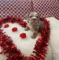 processed/a4861307-165b-44f1-b339-22421919323a/listing/878f5bb6-70bf-4271-afdd-7ca93fd8bbf1/860f1883-7075-4bdd-8ad7-c14260c24e41