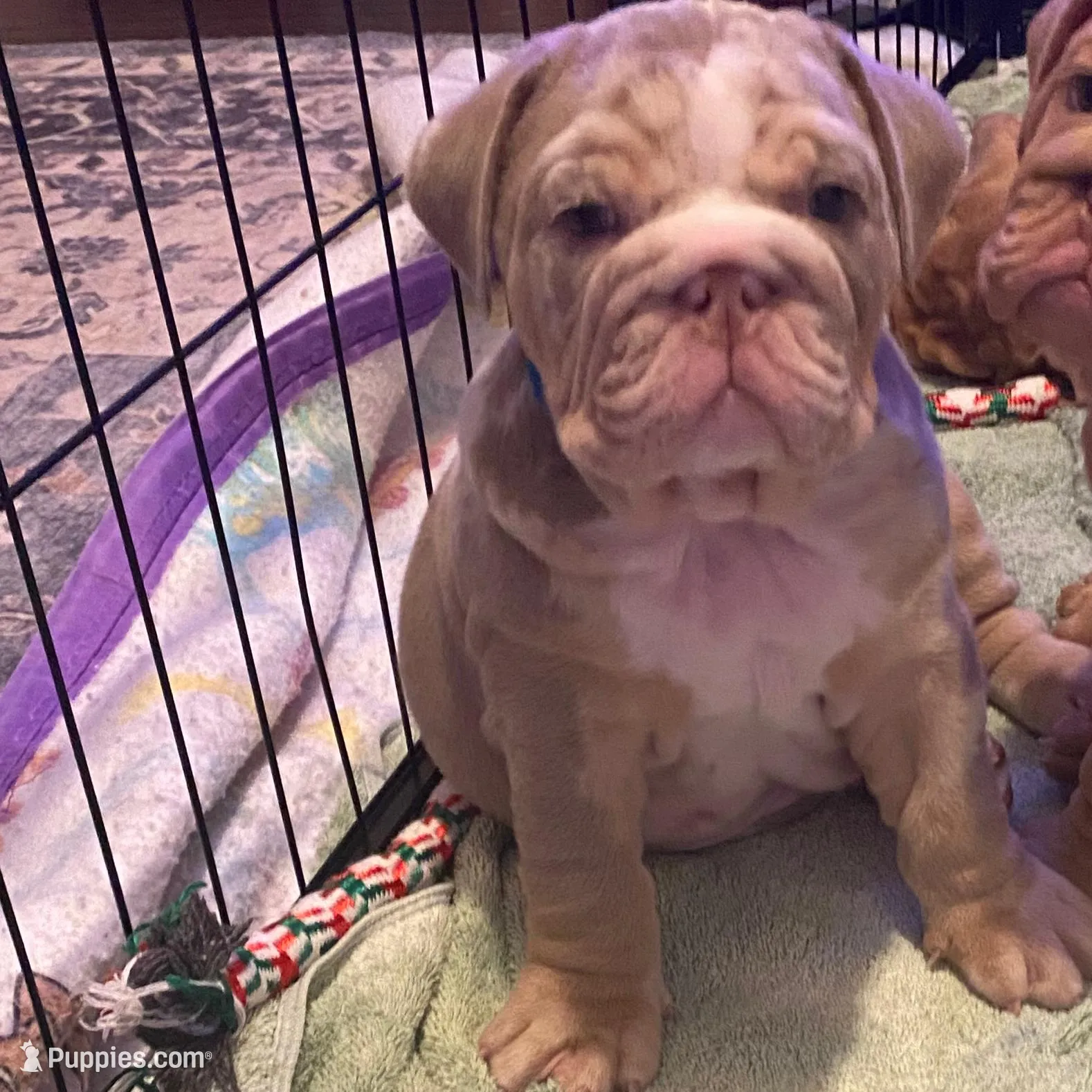 processed/a4861307-165b-44f1-b339-22421919323a/listing/878f5bb6-70bf-4271-afdd-7ca93fd8bbf1/abb19b85-6ead-4c89-a7a6-0b6cde7eaf7b