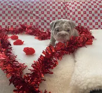 processed/a4861307-165b-44f1-b339-22421919323a/listing/878f5bb6-70bf-4271-afdd-7ca93fd8bbf1/adef3990-19a9-4e9c-bc9f-cefa0259cf47