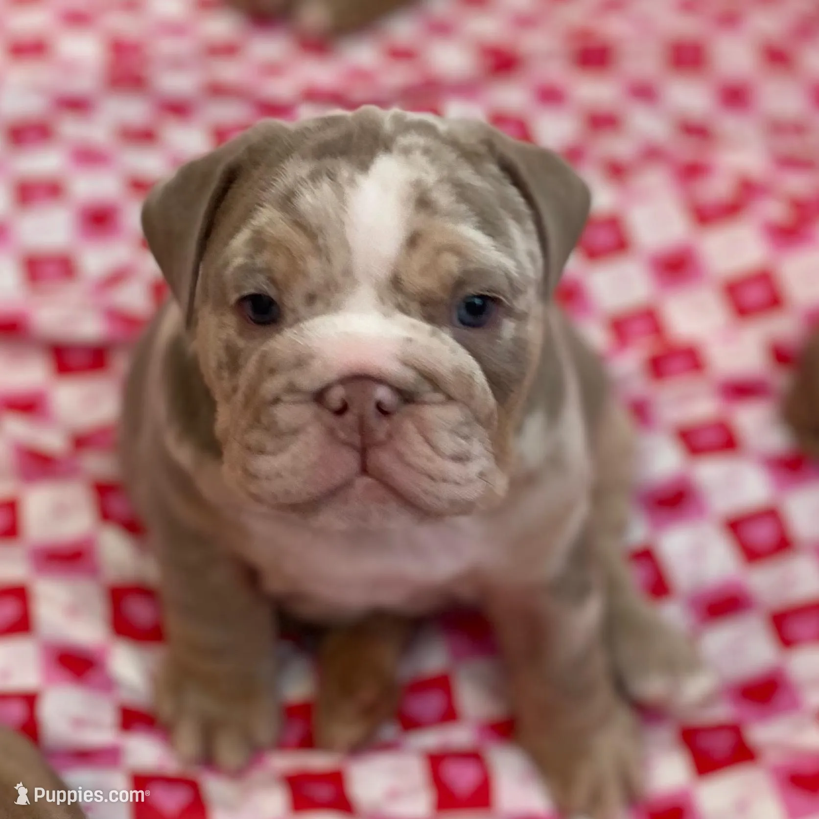 processed/a4861307-165b-44f1-b339-22421919323a/listing/878f5bb6-70bf-4271-afdd-7ca93fd8bbf1/eb52b5cb-19e1-47fa-b6c6-e1fe474bc0de