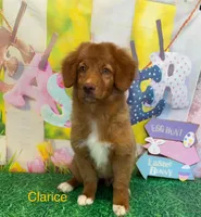 processed/a48a60d9-e605-469c-8908-eda2018baaea/listing/77ce5411-e159-4021-809d-c6f9d27db0bb/74566da6-61d6-4645-923a-f1c1115d8682