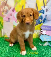 processed/a48a60d9-e605-469c-8908-eda2018baaea/listing/ca187962-da94-4721-a8a0-f473d2fc8791/04ed91bc-f4a3-4ffd-bf6e-c33f968e4133