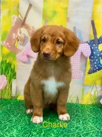 processed/a48a60d9-e605-469c-8908-eda2018baaea/listing/ca187962-da94-4721-a8a0-f473d2fc8791/2ce82716-a411-4580-a75b-89f8cab1c513