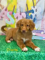 processed/a48a60d9-e605-469c-8908-eda2018baaea/listing/ca187962-da94-4721-a8a0-f473d2fc8791/369d59bf-41e9-49fb-8656-8452f7b94cd8