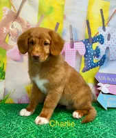 processed/a48a60d9-e605-469c-8908-eda2018baaea/listing/ca187962-da94-4721-a8a0-f473d2fc8791/f784cfcf-e183-4e68-8b63-b7d3df23df7f