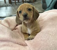 processed/a48bfc18-14b7-4bd5-a081-eb5c8290bf58/listing/d14385c1-8d1e-4df3-9daa-775c5b8a60e8/1f88f4ad-53dc-4ba8-8096-ddc95ef91a92