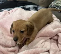 processed/a48bfc18-14b7-4bd5-a081-eb5c8290bf58/listing/d14385c1-8d1e-4df3-9daa-775c5b8a60e8/82e96609-b9db-42e0-ad2b-1cc175c93cfb