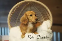 processed/a48bfc18-14b7-4bd5-a081-eb5c8290bf58/listing/d14385c1-8d1e-4df3-9daa-775c5b8a60e8/8e55cbb8-9e1b-42da-af02-936477ce32b1