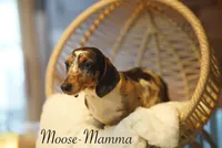 processed/a48bfc18-14b7-4bd5-a081-eb5c8290bf58/listing/d14385c1-8d1e-4df3-9daa-775c5b8a60e8/d7b14ce0-03fa-40da-bf24-aae0b6575398