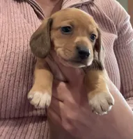 processed/a48bfc18-14b7-4bd5-a081-eb5c8290bf58/listing/d14385c1-8d1e-4df3-9daa-775c5b8a60e8/eaff5c8c-d465-41de-aff1-40e9e50c5fce