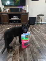 Dark Green Collar Boy, a male German Shepherd Dog for sale in Waxahachie, TX – Photo 3 of 9