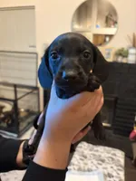 processed/a490bb4b-32dd-44a0-91ca-b04a1ebce044/listing/c58c7147-801d-4a9e-a5f0-95b3ac04498a/24f635dc-9f0f-430a-b401-5034bbd32de1