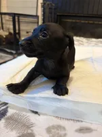 processed/a490bb4b-32dd-44a0-91ca-b04a1ebce044/listing/c58c7147-801d-4a9e-a5f0-95b3ac04498a/a98fec6d-b518-4cd1-913a-1e7d9e4187d5