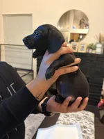 processed/a490bb4b-32dd-44a0-91ca-b04a1ebce044/listing/c58c7147-801d-4a9e-a5f0-95b3ac04498a/c6f97918-e4c8-4033-8ea0-8588069dc5e9