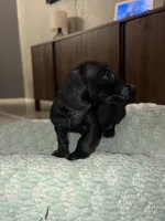 processed/a490bb4b-32dd-44a0-91ca-b04a1ebce044/listing/c58c7147-801d-4a9e-a5f0-95b3ac04498a/dcd69d37-e959-4ea8-837f-671447dc7b7e