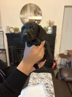 processed/a490bb4b-32dd-44a0-91ca-b04a1ebce044/listing/c58c7147-801d-4a9e-a5f0-95b3ac04498a/e1fdce73-4bd9-4eca-85c5-6e10f7611db8