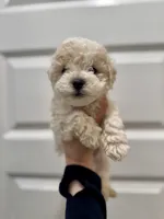 processed/a4986f1c-f4d6-4b1b-b406-df6d2169faf6/listing/9b77181a-b8b0-4aa1-8483-d32035872c72/d2988276-a0e1-4111-989a-53a94cd4b384