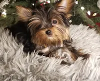 processed/a49c51ec-c7a3-4dc5-be9f-3d8518d4f274/facility/77938459-3423-4057-9ab3-63492a6816f7