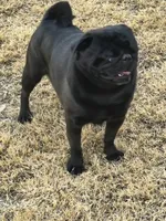 processed/a49c889f-dd93-45e8-8a15-e9b5987139c8/facility/0852424d-1358-4cd5-b033-91d1d4c3b58b