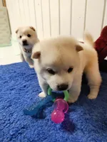 processed/a49c889f-dd93-45e8-8a15-e9b5987139c8/facility/0a43d47c-17d0-42a8-b0be-eddb5990321c