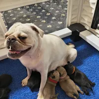 processed/a49c889f-dd93-45e8-8a15-e9b5987139c8/facility/2962a51e-6f09-48d1-aba9-e6759509d822