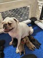 processed/a49c889f-dd93-45e8-8a15-e9b5987139c8/facility/2962a51e-6f09-48d1-aba9-e6759509d822