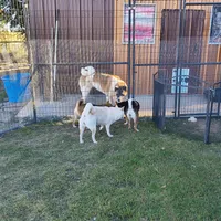 processed/a49c889f-dd93-45e8-8a15-e9b5987139c8/facility/515d3f43-a888-4ae9-91c5-98edb8914107