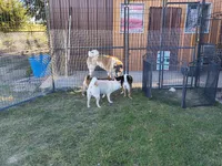 processed/a49c889f-dd93-45e8-8a15-e9b5987139c8/facility/515d3f43-a888-4ae9-91c5-98edb8914107