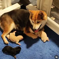 processed/a49c889f-dd93-45e8-8a15-e9b5987139c8/facility/7fb77765-0810-48a5-8275-796a4f428c20