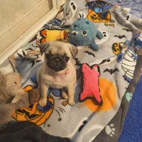 processed/a49c889f-dd93-45e8-8a15-e9b5987139c8/facility/99ea28b9-b031-4199-92b1-0bff1816e949