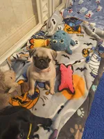 processed/a49c889f-dd93-45e8-8a15-e9b5987139c8/facility/99ea28b9-b031-4199-92b1-0bff1816e949