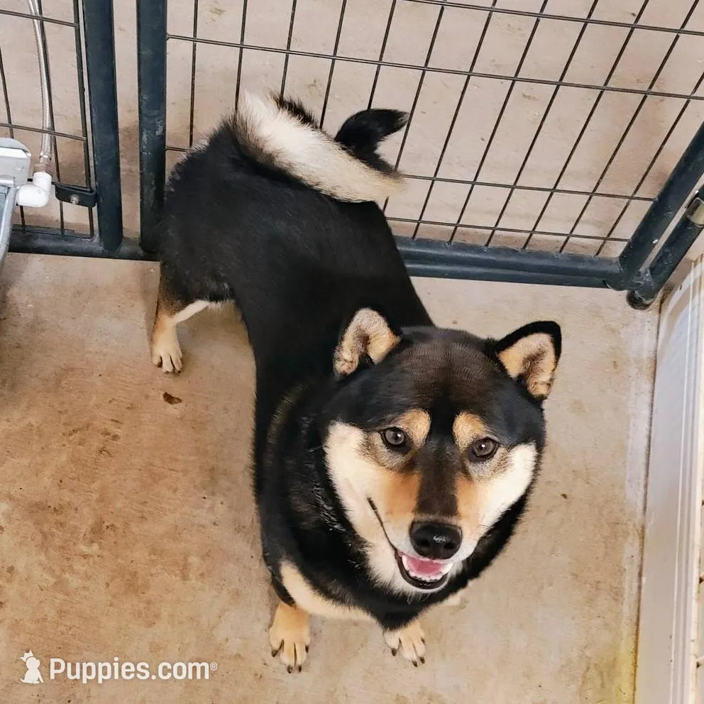 processed/a49c889f-dd93-45e8-8a15-e9b5987139c8/facility/a83d8d82-9b71-4932-9665-f0a46fb46eb6