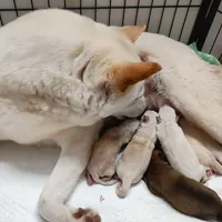 processed/a49c889f-dd93-45e8-8a15-e9b5987139c8/facility/ba73e65b-4410-44cd-9136-dfd05b181c50