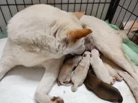 processed/a49c889f-dd93-45e8-8a15-e9b5987139c8/facility/ba73e65b-4410-44cd-9136-dfd05b181c50