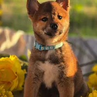 processed/a49c889f-dd93-45e8-8a15-e9b5987139c8/facility/de70a0fb-4d8b-48a0-936e-2865af61a2a5