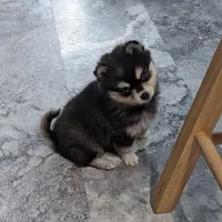 processed/a49c889f-dd93-45e8-8a15-e9b5987139c8/facility/edd1e807-725f-4202-b23c-40280e662d12