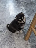 processed/a49c889f-dd93-45e8-8a15-e9b5987139c8/facility/edd1e807-725f-4202-b23c-40280e662d12