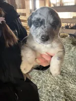 processed/a49dc348-4ba6-44a0-8fd1-0a5b0f175f1d/listing/2dcc9598-2b55-404b-8840-448219a6be62/4f3cfdac-3500-40ab-a9f7-fe73da6c004e