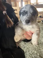 processed/a49dc348-4ba6-44a0-8fd1-0a5b0f175f1d/listing/2dcc9598-2b55-404b-8840-448219a6be62/a0992a0a-c15d-4b37-b8d2-fb2c3bd5623a