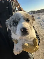 processed/a49dc348-4ba6-44a0-8fd1-0a5b0f175f1d/listing/6021b5b4-4959-445a-91b2-2e963707cc2d/de5f05f8-8d7d-4b97-a5ea-b261143f35e0