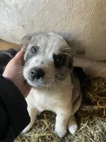 processed/a49dc348-4ba6-44a0-8fd1-0a5b0f175f1d/listing/8d3e0719-4082-4206-8881-b3693e4f072a/3a59b5f6-59a3-4668-bd04-c9add03c29cd