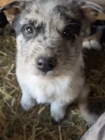 processed/a49dc348-4ba6-44a0-8fd1-0a5b0f175f1d/listing/d458effc-590f-4fbb-9e41-a5228a3f0dad/39c5abd2-63b9-48e2-ac30-4e5e1034983e