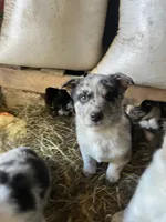 processed/a49dc348-4ba6-44a0-8fd1-0a5b0f175f1d/listing/d458effc-590f-4fbb-9e41-a5228a3f0dad/7a7f2983-98cc-4521-b042-00a192d9cbd4