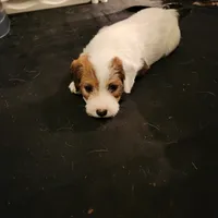 processed/a4a4ac28-99d4-4b67-ad69-22621a47dead/facility/033f34f3-1d3f-4881-ae79-3eb8a2ce81f1