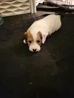 processed/a4a4ac28-99d4-4b67-ad69-22621a47dead/facility/033f34f3-1d3f-4881-ae79-3eb8a2ce81f1