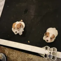 processed/a4a4ac28-99d4-4b67-ad69-22621a47dead/facility/05c588d6-f537-4ebf-88f2-db264848d624